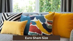 Euro Sham Size